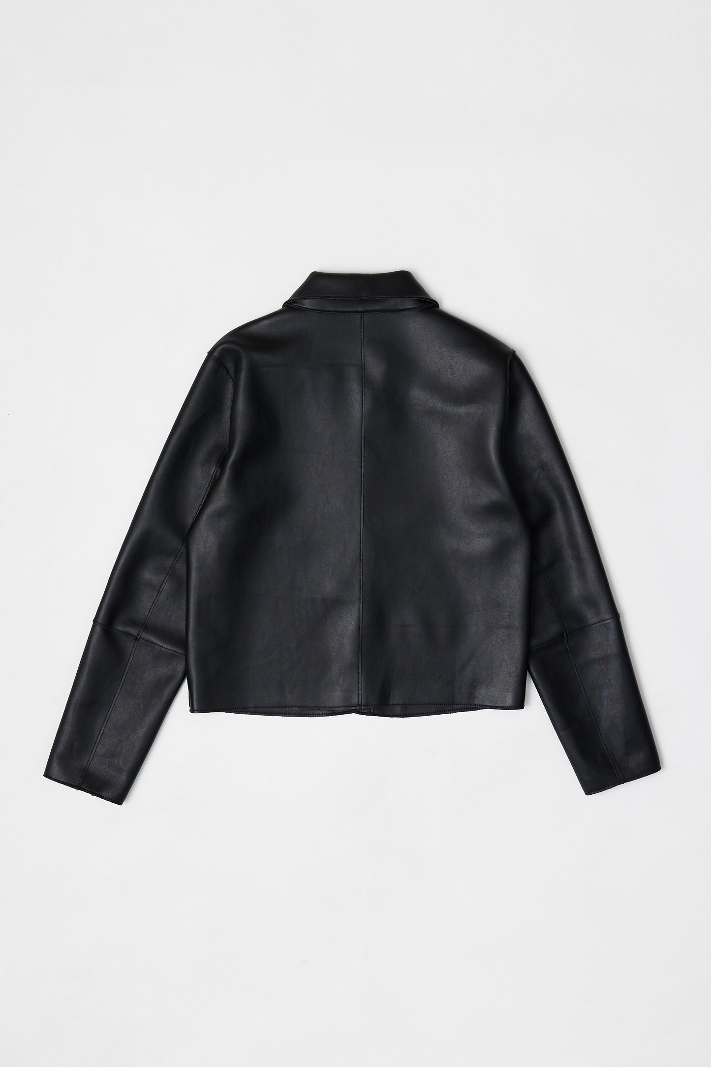 Nicolette Vegan Leather Jacket